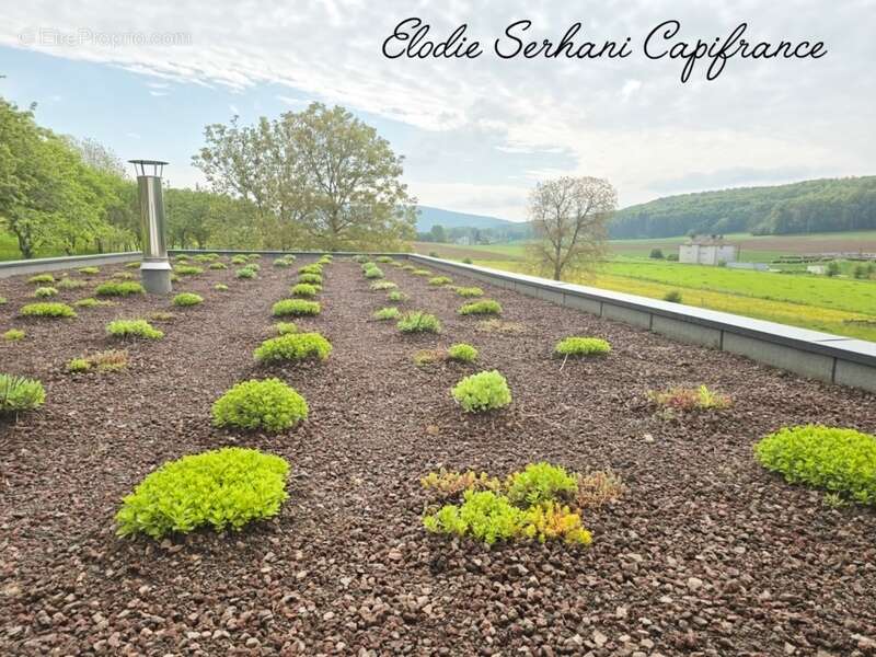 Maison à VILLARS-LES-BLAMONT