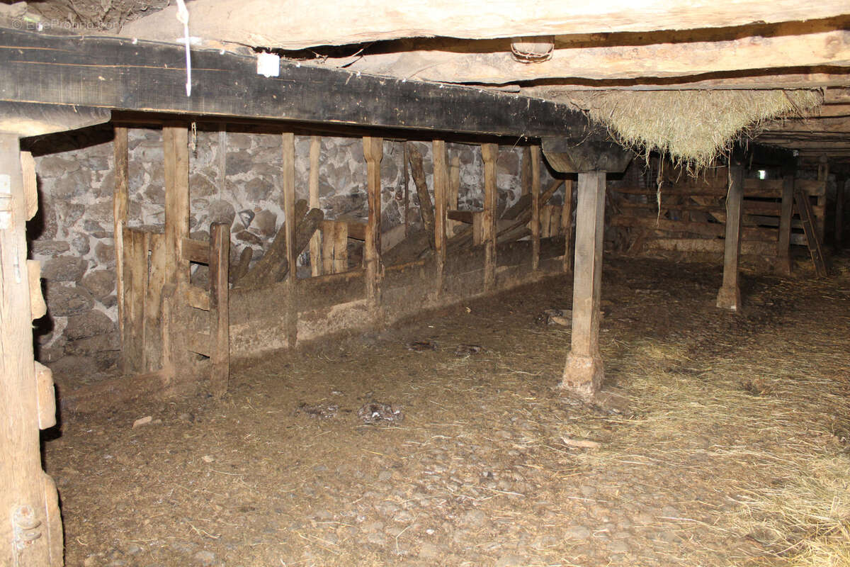 Maison à ANGLARDS-DE-SALERS