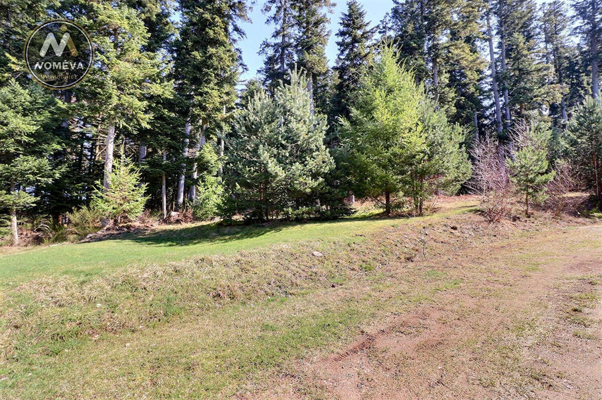 Maison à LE CHAMBON-SUR-LIGNON