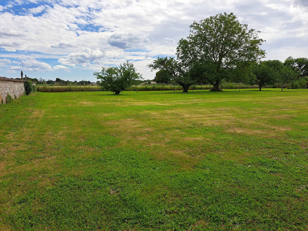 Terrain à GEAY