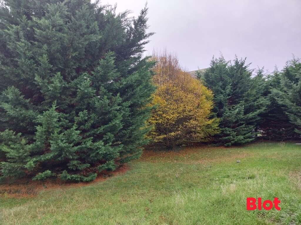 Terrain à LANCIEUX