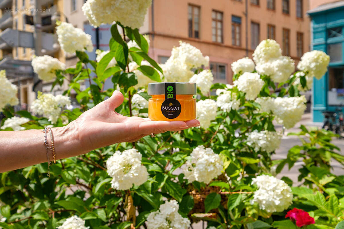 Appartement à LYON-1E