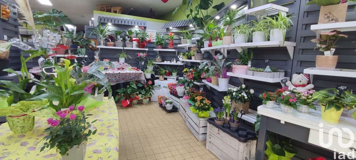 Photo 8 - Commerce à SAINT-PIERRE-D&#039;ALBIGNY