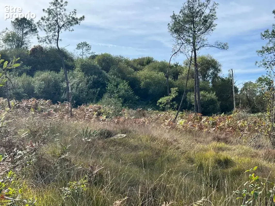 À vendre – argol – finistère – presqu’île de crozon-exceptionnel terrain de loisirs de 40 000 m² - photo 52
