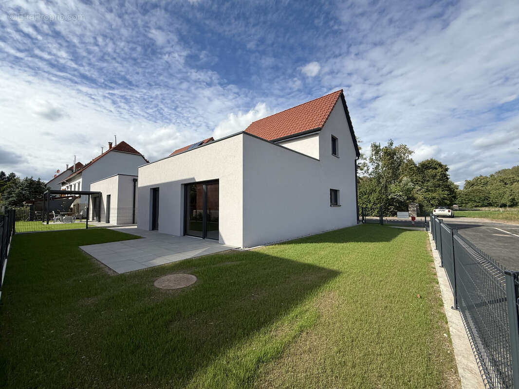 Maison à WISSEMBOURG