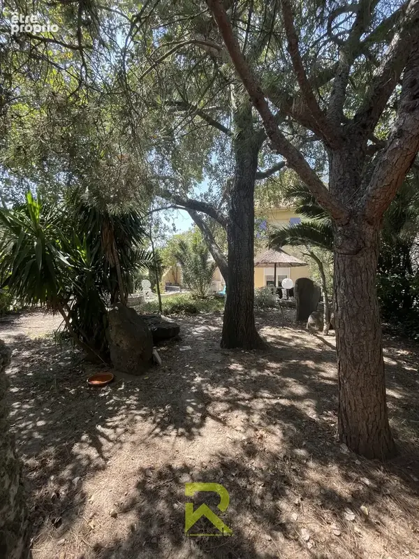 Unique belle Propriété de 260 m2 sur 2000 m2 à 250 m des plages - photo 8