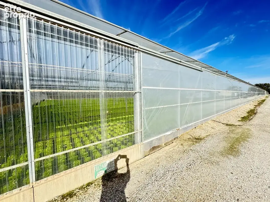 Domaine agricole Bompas 18 000 m2 - photo 2