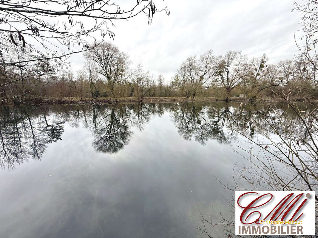 Terrain à VITRY-LE-FRANCOIS