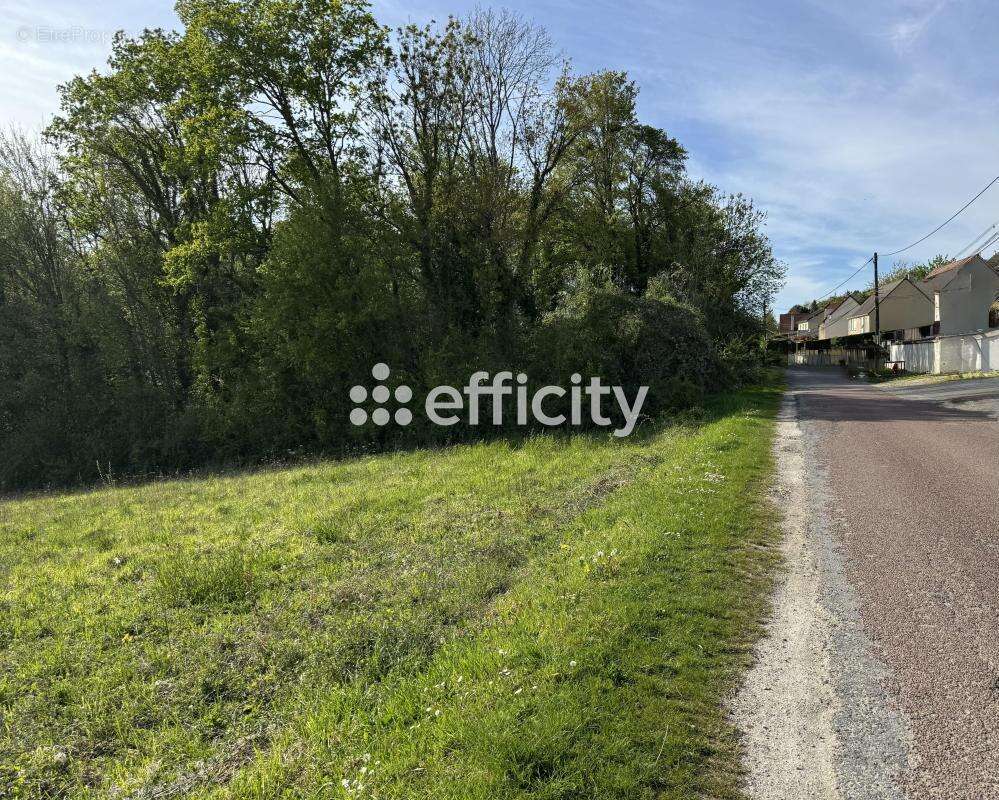 Terrain 2261 m² à Montreuil-Aux-Lions  - photo 2