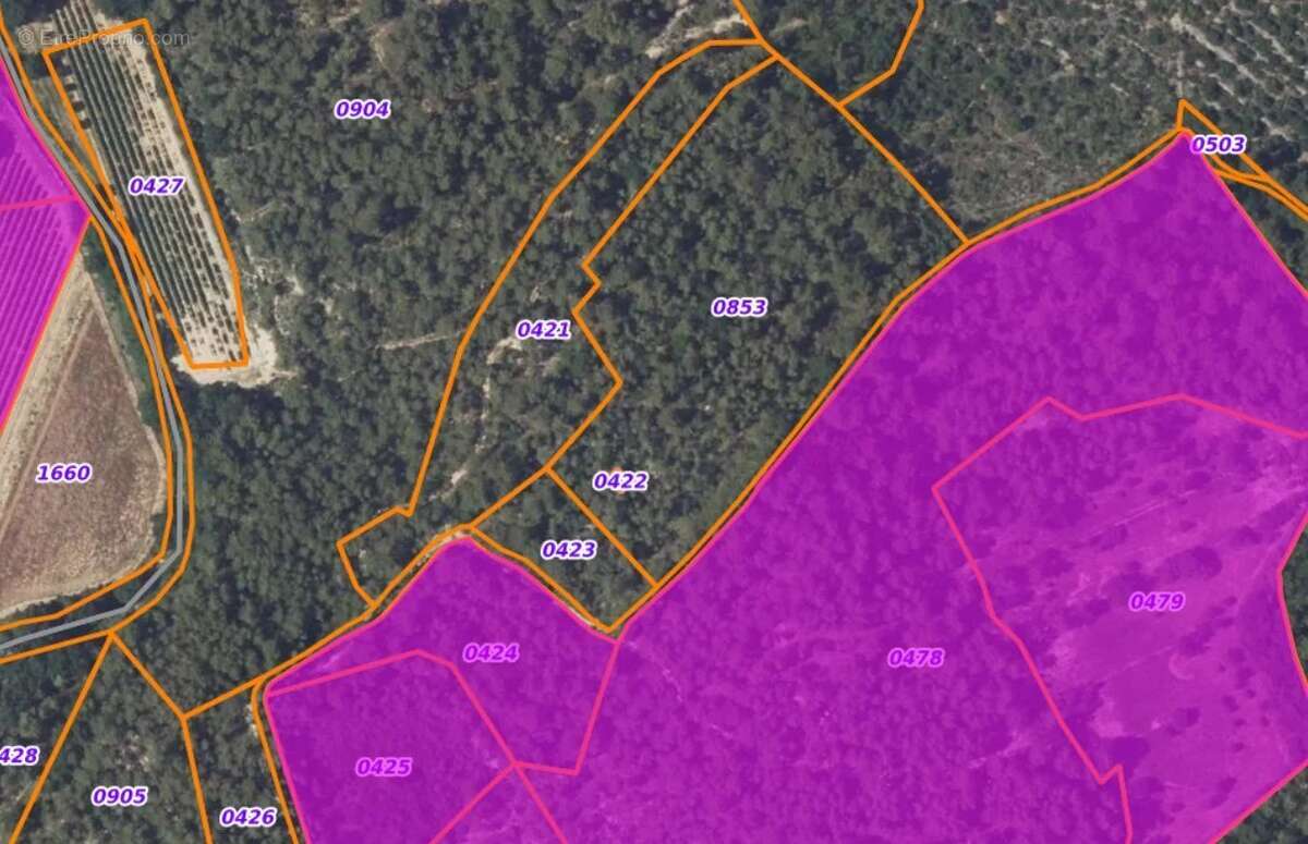COTIGNAC - Rare à la vente 13.992m² boisés avec ruines de cabanon - photo 8