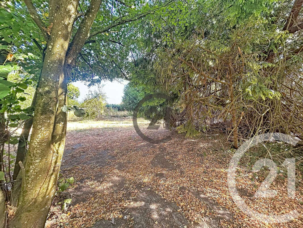 Maison 118 m² à Bois-Le-Roi  - photo 25