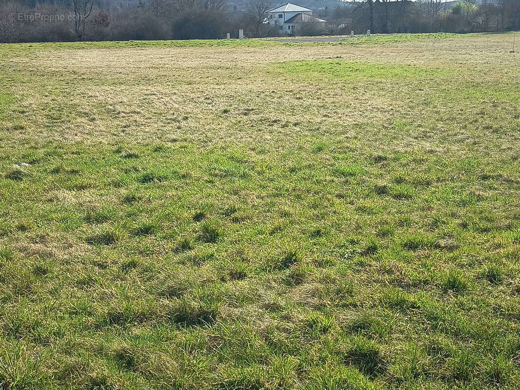 Terrain à MALBOUHANS