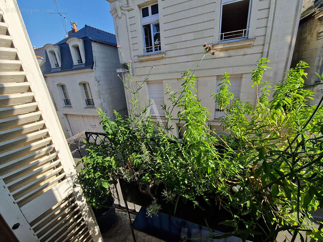 Appartement à BEAUFORT-EN-VALLEE