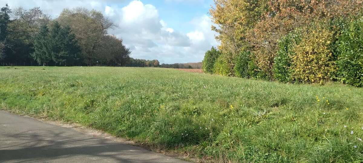 Terrain à SAINT-SORNIN