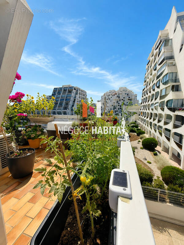 Appartement à LA GRANDE-MOTTE