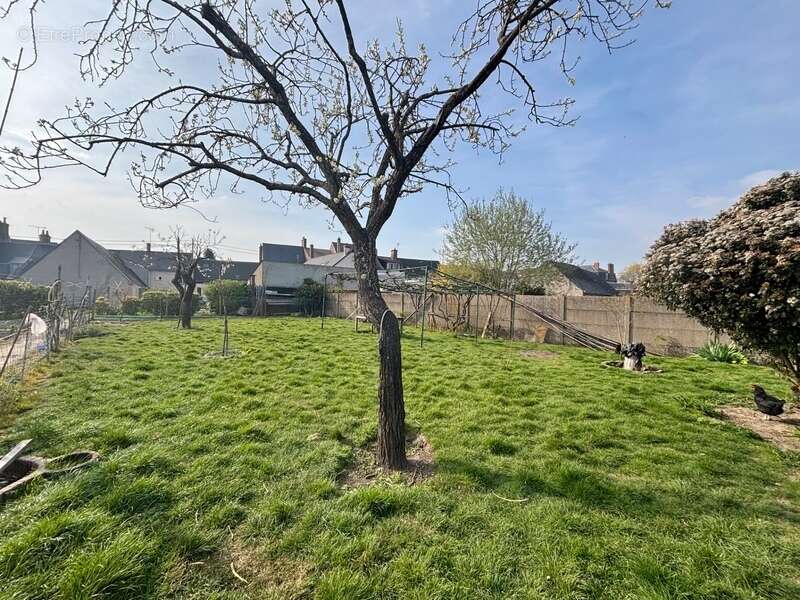 Terrain constructible à vendre à CHEVILLY (45) - photo 3