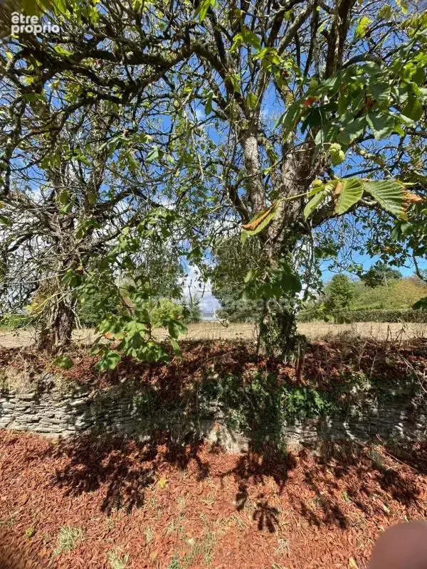 Terrain à PLOERMEL
