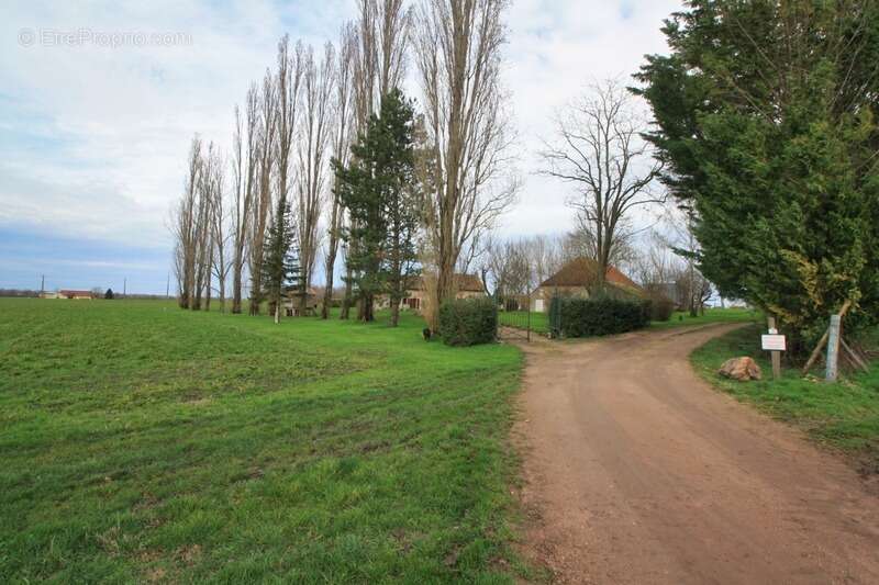 Longère 5 chambres, avec dépendances et un terrain de 3,4 hectares - photo 10