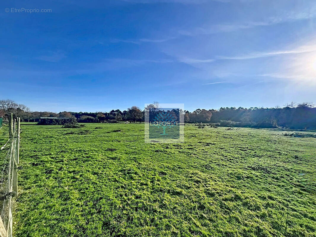 Terrain à ETAULIERS