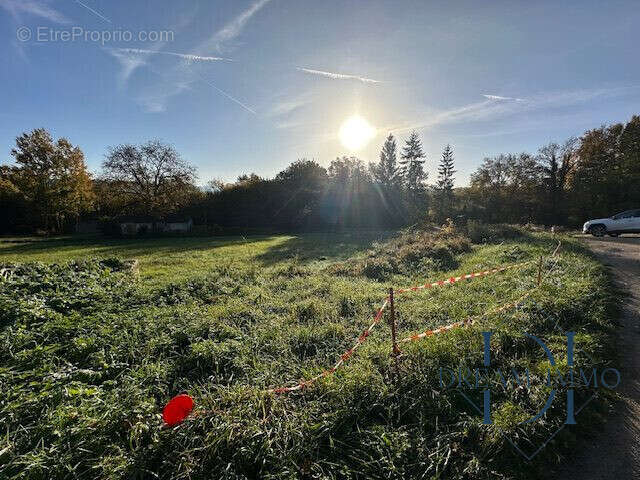 Terrain à BRAY-ET-LU
