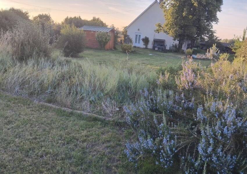 Terrain à COULOMMIERS
