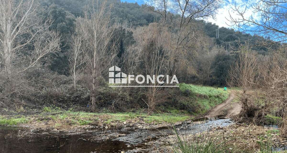 Terrain à COLLOBRIERES