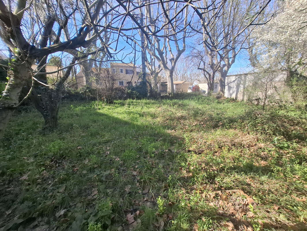 Terrain à SAINT-MARTIN-DE-CRAU