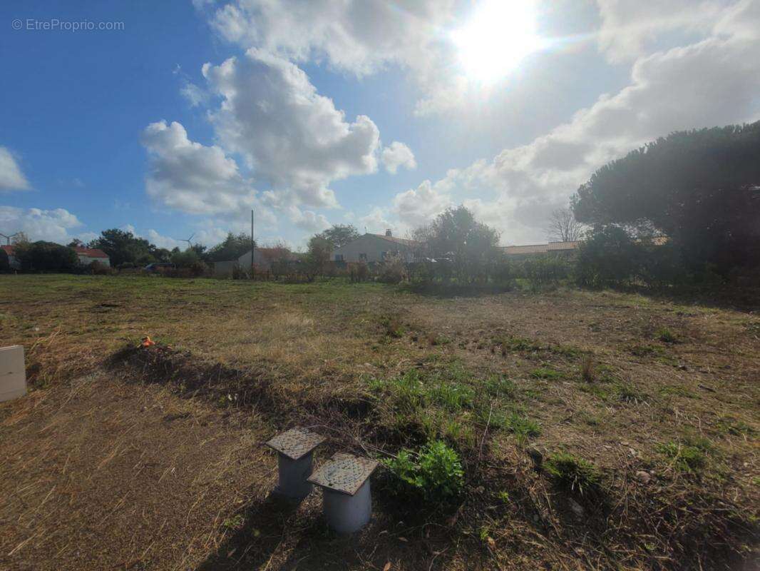 Terrain à L&#039;ILE-D&#039;OLONNE