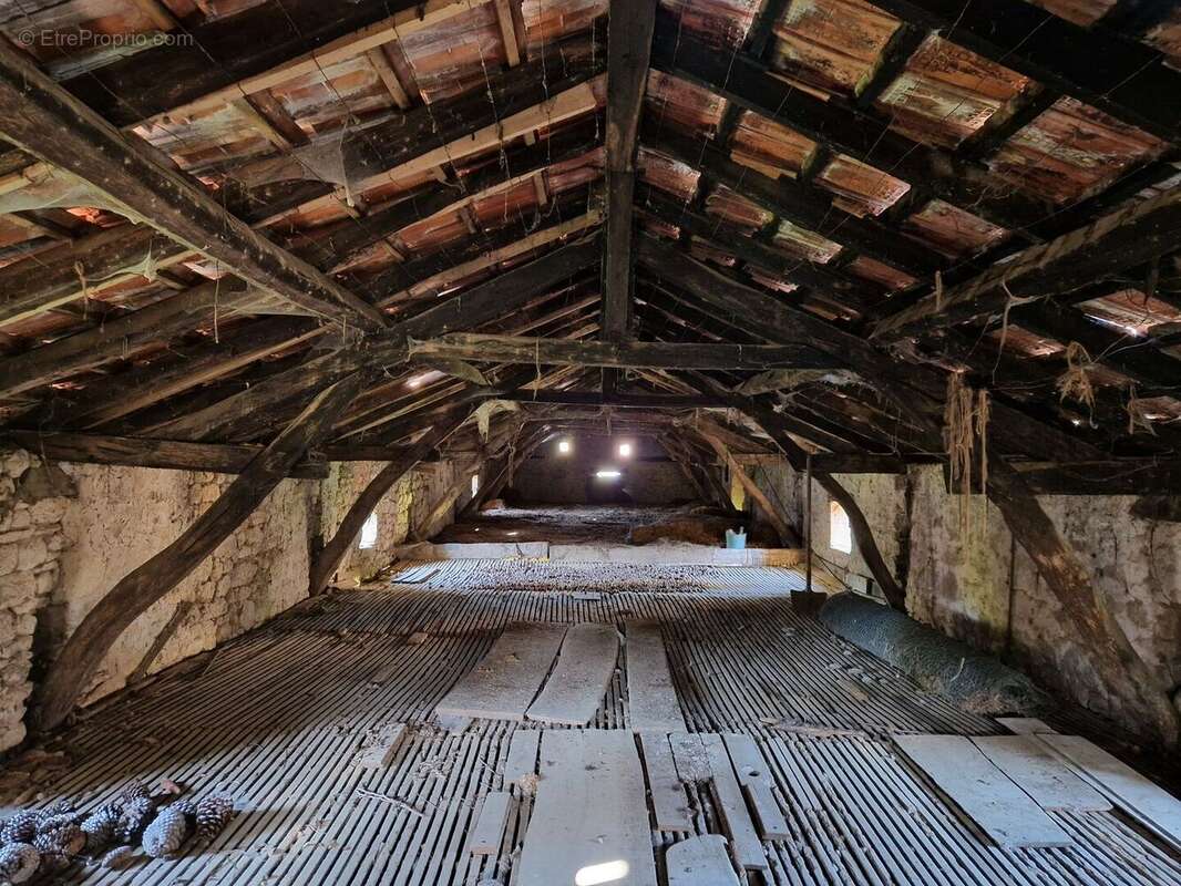 20241030111438 - Maison à TAMNIES