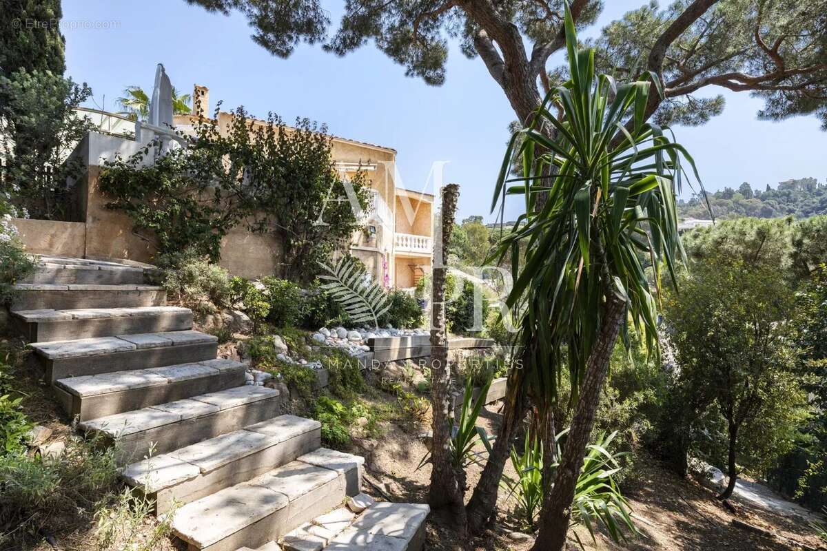 Maison à CANNES