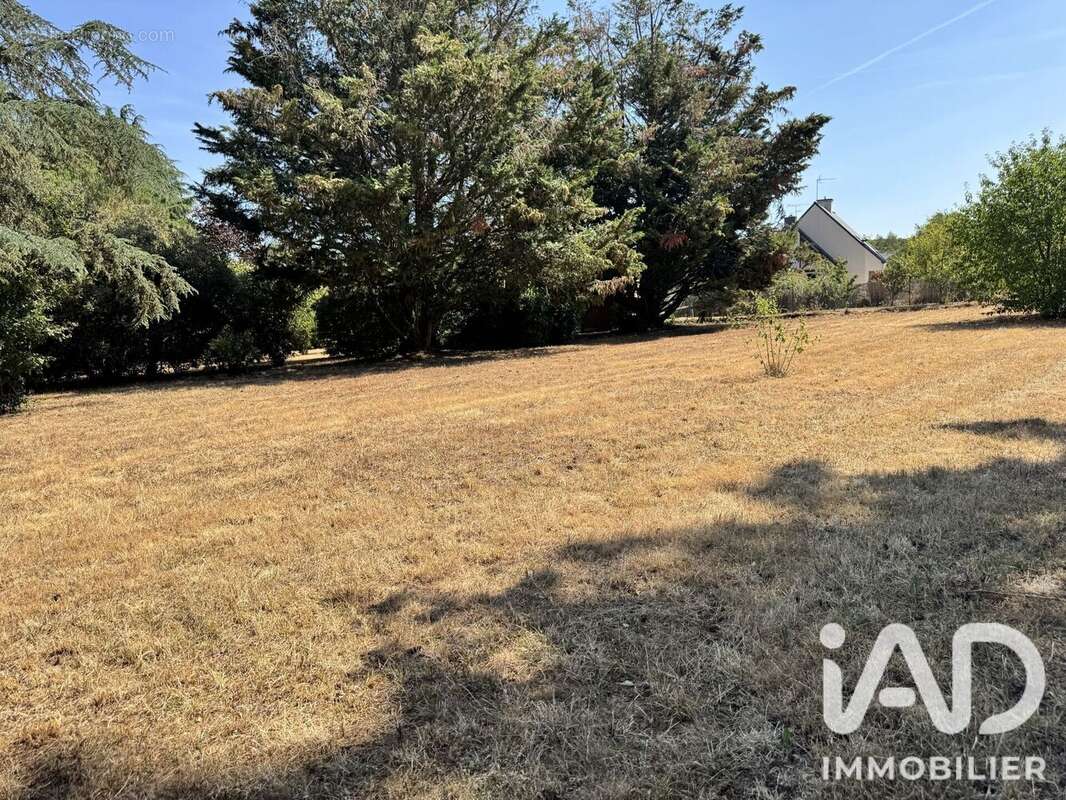 Terrain 1624 m² à Guemene-Penfao  - photo 2