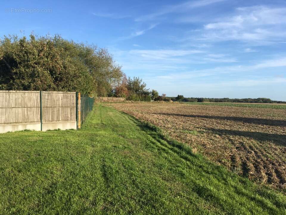 Terrain à MONNERVILLE