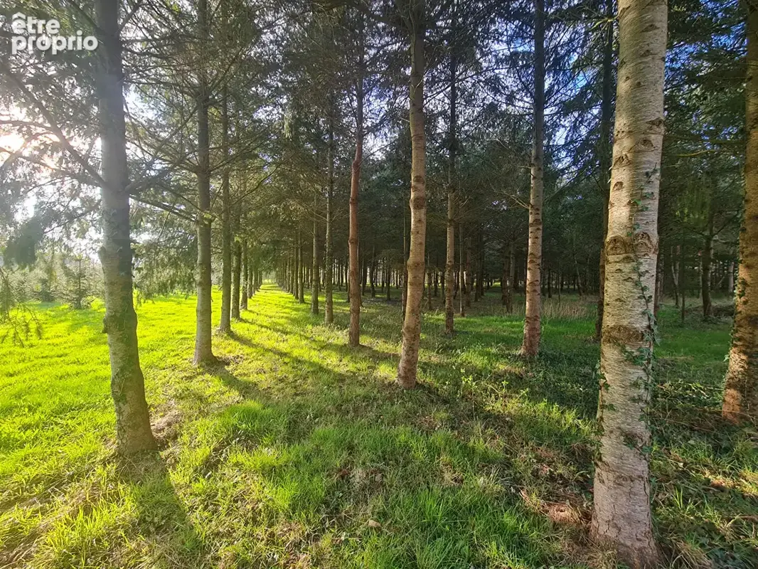 Plan d'eau et bois sur 47 800 m²  -  sortie d'alencon - photo 9