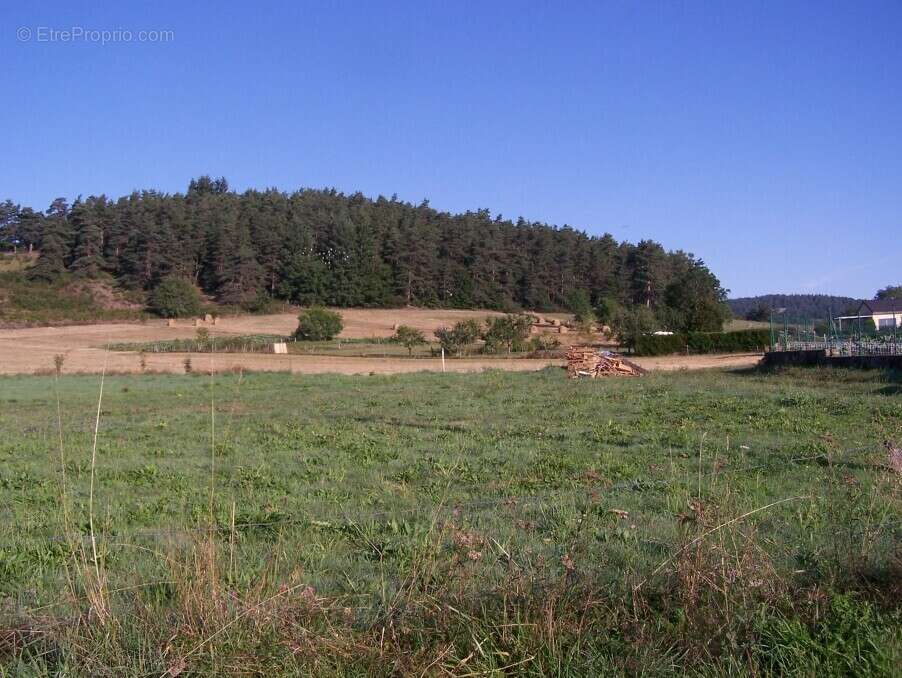 Terrain à YSSINGEAUX
