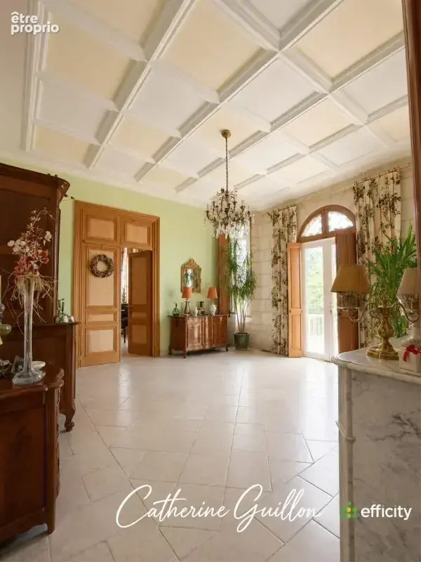 Maison 18 pièces 560 m² à vendre à Ingrandes (86220) - photo 9
