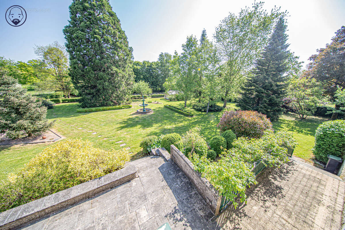 Maison de caractère 314 m2 et grand parc arboré - photo 2