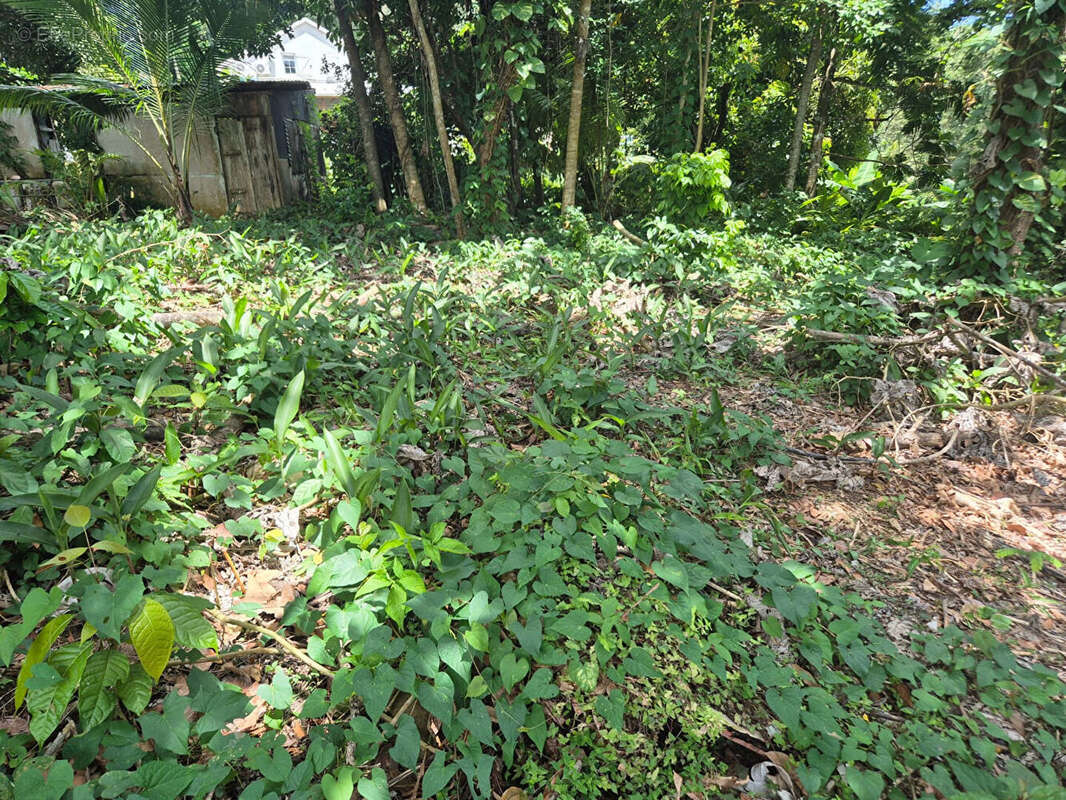 Terrain à LE LAMENTIN