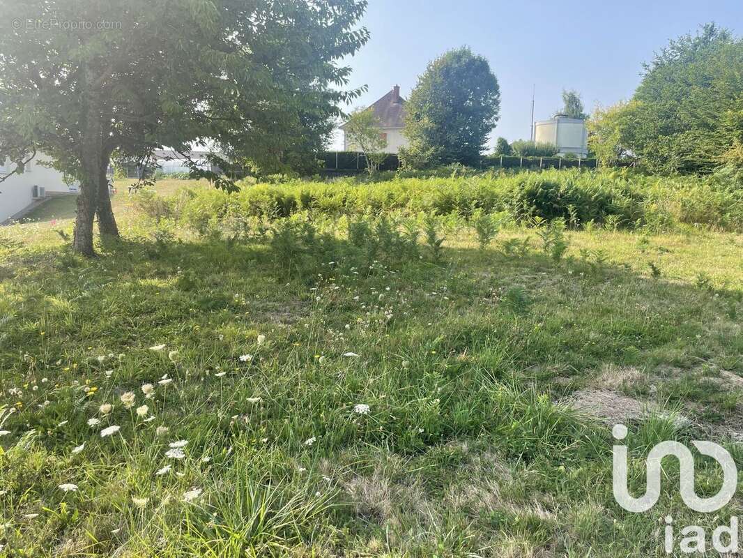 Photo 2 - Terrain à MAGNAC-BOURG