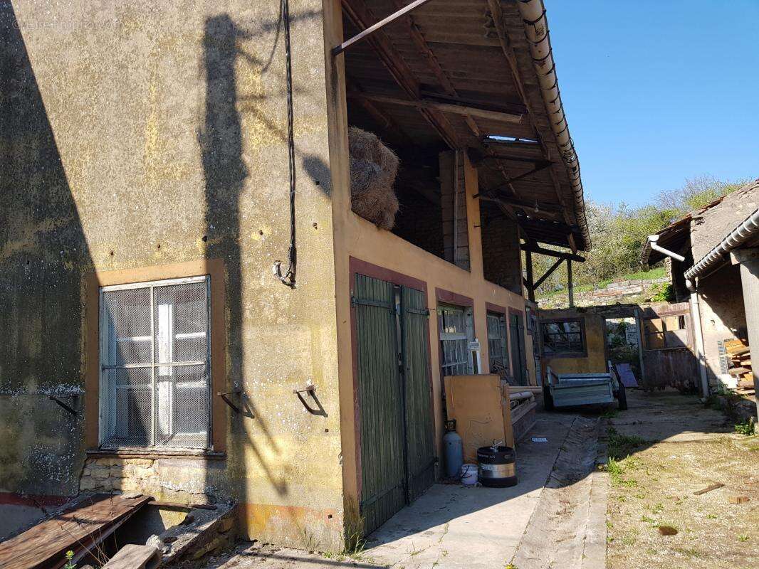 Terrain à SAINT-JULIEN-LES-GORZE