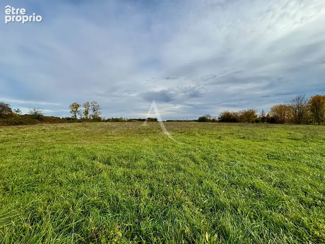 Terrain à SOINGS-EN-SOLOGNE