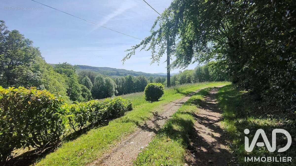 Photo 4 - Maison à ROUAIROUX
