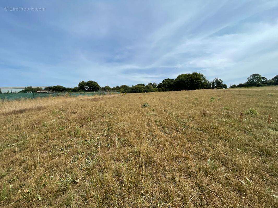 Maison Bourbriac terrain 1,6 hectare - photo 9