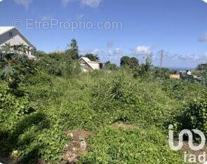 Photo 1 - Terrain à SAINT-PIERRE