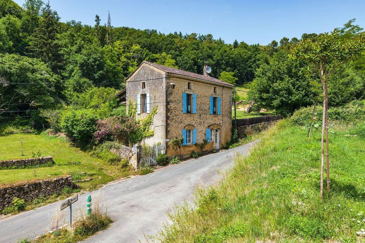 Maison à LE BUISSON-DE-CADOUIN
