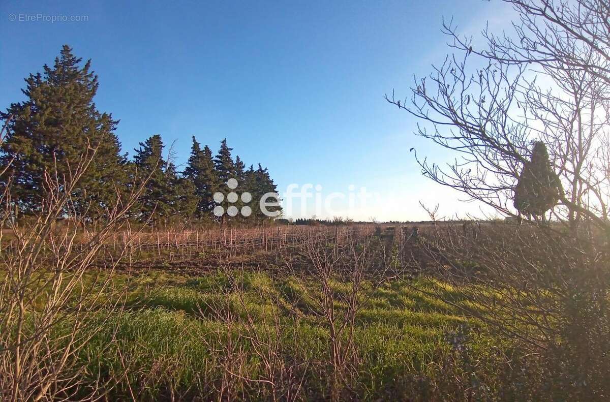 Maison à CAMARET-SUR-AIGUES