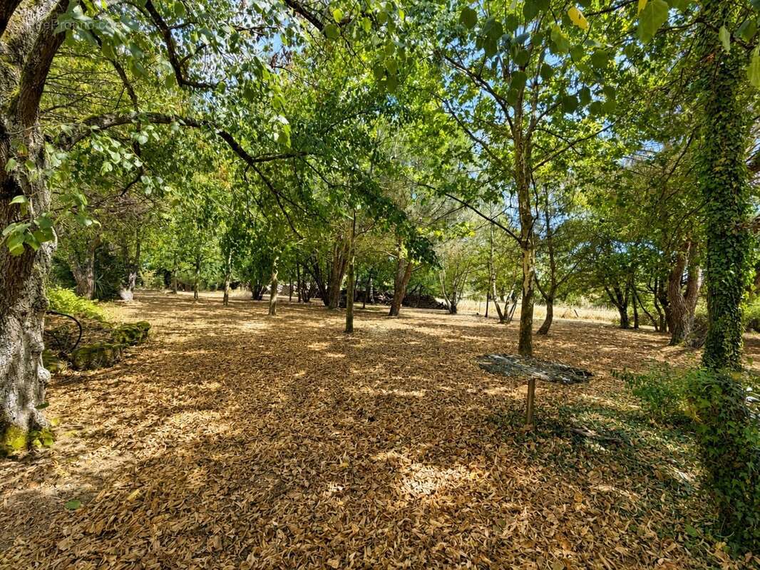 Propriété de charme, dépendances et 2 hectares de nature aux portes de la forêt de Tronçais - photo 16