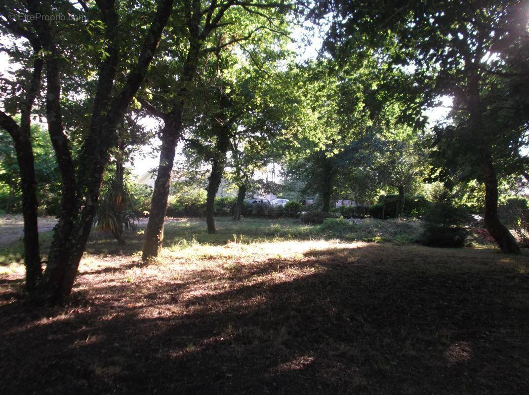 Terrain à CAMBLANES-ET-MEYNAC