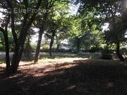 Terrain à CAMBLANES-ET-MEYNAC