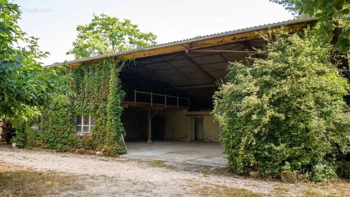 Maison en bordure de village, 3 chambres, dépendances - photo 5