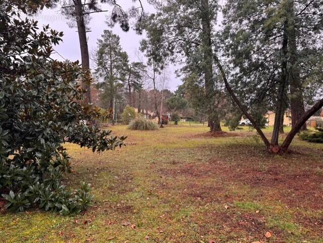 Terrain à CHANCELADE